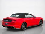 2022 Mustang Thumbnail 8