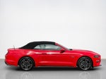 2022 Mustang Thumbnail 9
