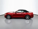2016 Mustang Thumbnail 4