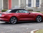 2016 Mustang Thumbnail 4