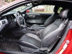 2016 Mustang Thumbnail 16