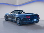 2016 Mustang Thumbnail 12