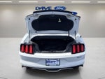2016 Mustang Thumbnail 20