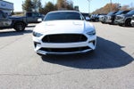 2019 Mustang Thumbnail 3
