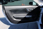 2019 Mustang Thumbnail 14