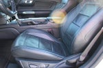 2019 Mustang Thumbnail 15