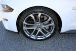 2019 Mustang Thumbnail 10