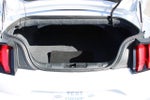 2019 Mustang Thumbnail 13
