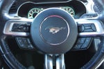 2019 Mustang Thumbnail 16