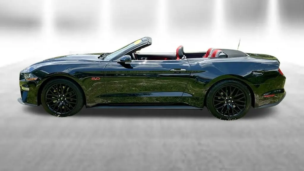 2019 Ford Mustang GT Premium