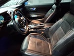 2019 Mustang Thumbnail 8