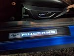 2019 Mustang Thumbnail 10