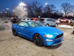 2019 Mustang Thumbnail 16