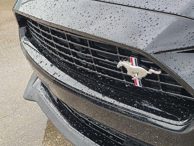 2019 Ford Mustang - $35,789