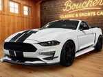 2021 Mustang Thumbnail 16