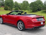 2021 Mustang Thumbnail 12