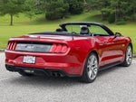 2021 Mustang Thumbnail 14