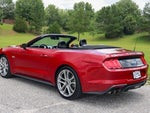 2021 Mustang Thumbnail 12