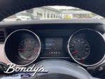 2015 Mustang Thumbnail 4