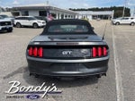 2015 Mustang Thumbnail 13