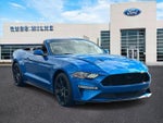 2019 Mustang Thumbnail 1