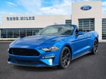 2019 Mustang Thumbnail 2