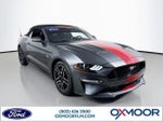 2019 Mustang Thumbnail 1