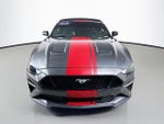 2019 Mustang Thumbnail 5