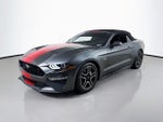 2019 Mustang Thumbnail 6