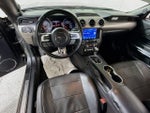 2019 Mustang Thumbnail 21