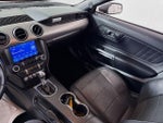 2019 Mustang Thumbnail 22