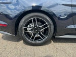 2021 Mustang Thumbnail 11
