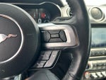 2021 Mustang Thumbnail 23
