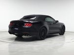2022 Mustang Thumbnail 8