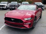 2023 Mustang Thumbnail 4