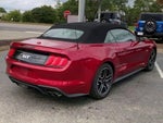 2023 Mustang Thumbnail 8