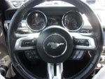 2017 Mustang Thumbnail 20