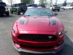 2017 Mustang Thumbnail 13