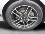 2018 Mustang Thumbnail 11