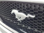 2018 Mustang Thumbnail 14