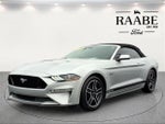 2018 Mustang Thumbnail 16