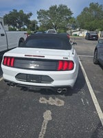 2019 Mustang Thumbnail 1