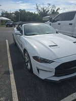 2019 Mustang Thumbnail 6