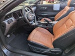 2020 Mustang Thumbnail 14
