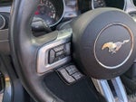 2020 Mustang Thumbnail 19