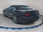 2021 Mustang Thumbnail 8