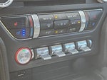 2021 Mustang Thumbnail 20