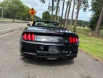 2022 Mustang Thumbnail 4