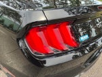 2022 Mustang Thumbnail 13