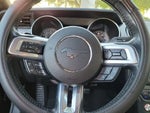 2023 Mustang Thumbnail 19